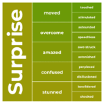 specific emotions based on surprise